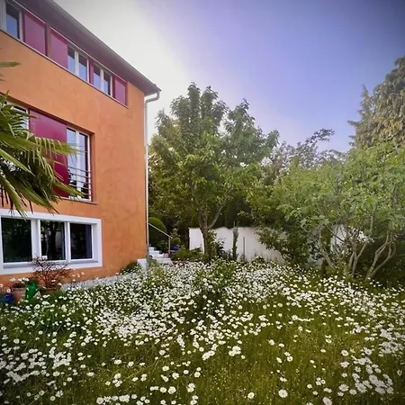 1,5 Zimmer Ferienwohnung